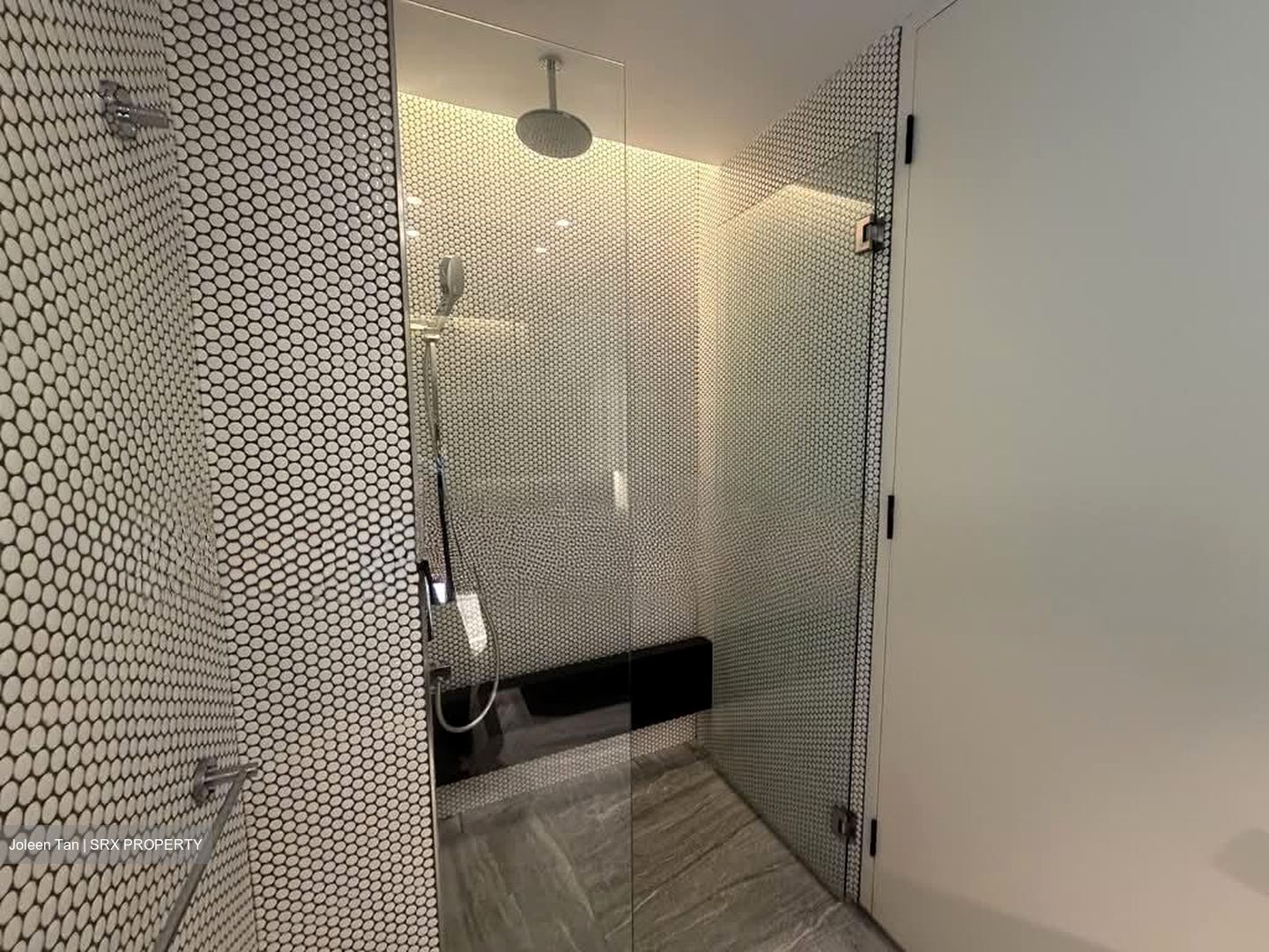 10 Evelyn (D11), Apartment #571832871